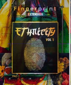 Alternative view of FingerPrint VST + 5 EXPANSIONS (PC & MAC)