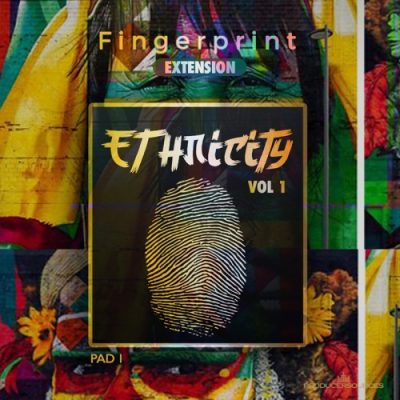 FingerPrint VST + 5 EXPANSIONS (PC & MAC) - Image 2