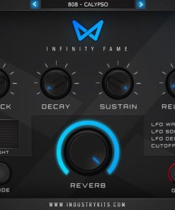 INFINITY FAME VST GUI