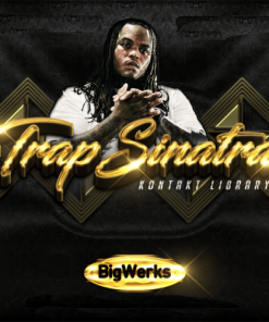 TRAP SINATRA KONTAKT LIBRARY