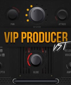 VIP Producer VST download