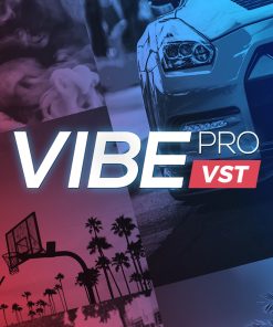 Vibe Pro VST