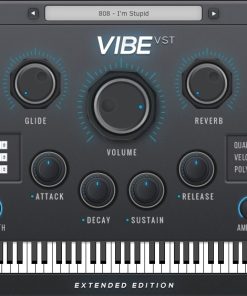 Alternative view of Vibe Pro VST PLUG-IN