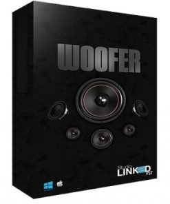 Studiolinked Woofer VST