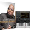 Peculiar Sounds VST