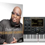 Peculiar Sounds VST