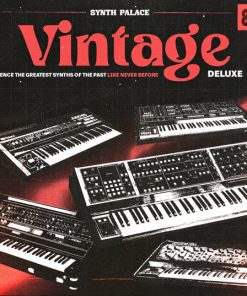 Synth Palace Vintage Deluxe